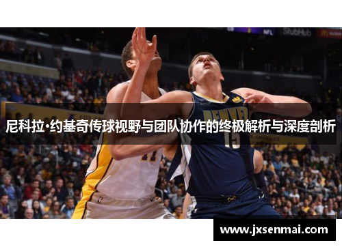 尼科拉·约基奇传球视野与团队协作的终极解析与深度剖析