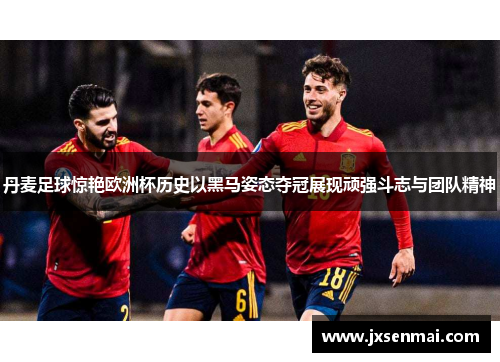 丹麦足球惊艳欧洲杯历史以黑马姿态夺冠展现顽强斗志与团队精神 丹麦足球惊艳欧洲杯历史以黑马姿态夺冠展现顽强斗志与团队精神