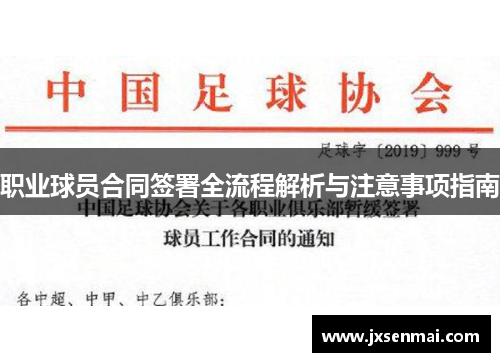 职业球员合同签署全流程解析与注意事项指南 职业球员合同签署全流程解析与注意事项指南