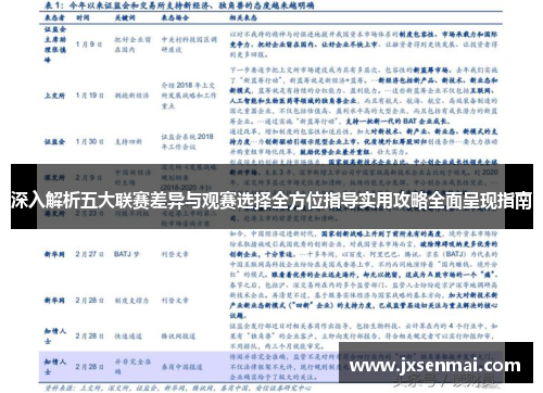 深入解析五大联赛差异与观赛选择全方位指导实用攻略全面呈现指南